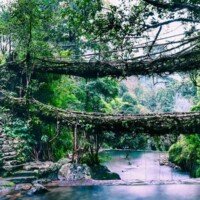 Root Bridge