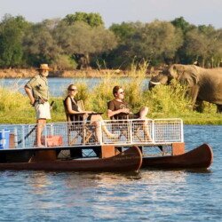 Boat Safari